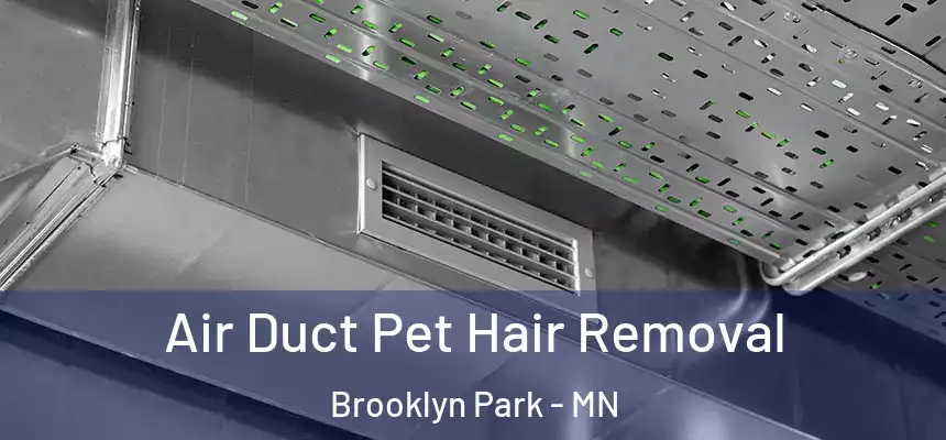 Air Duct Pet Hair Removal Brooklyn Park - MN