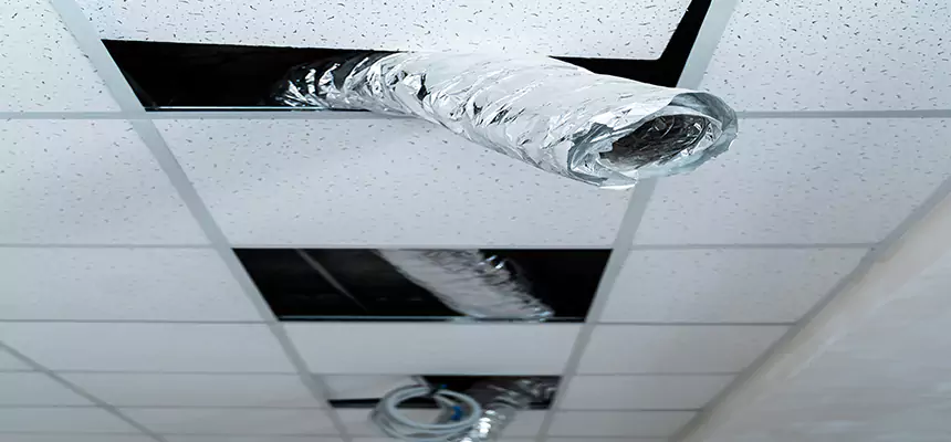 Affordable HVAC Sanitizing After Pest Removal in Brooklyn Park