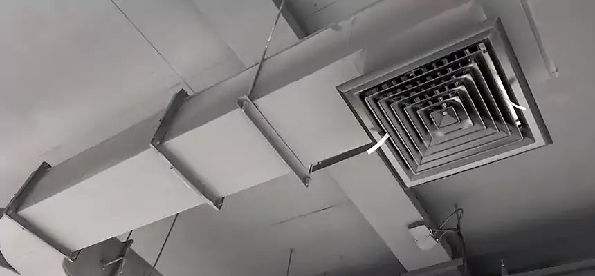 Restorative Allergy Relief Vent Cleaning – Coil, Blower & Housing Detail in Brooklyn Park