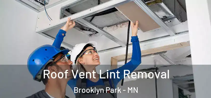  Roof Vent Lint Removal Brooklyn Park - MN