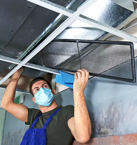 About Air Duct Bacteria Removal in Brooklyn Park