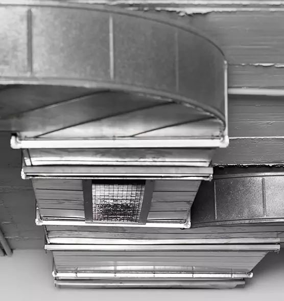 Professional Air Duct Pet Hair Removal in Brooklyn Park, MN