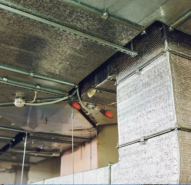 Why Homeowners & Businesses Trust Us in Brooklyn Park, MN?