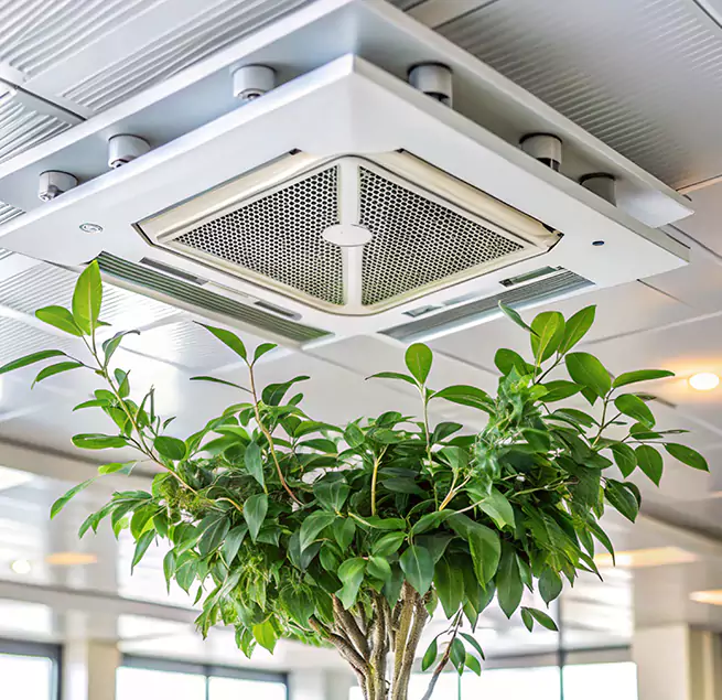 Why Homeowners & Businesses Trust Us in Brooklyn Park, MN?