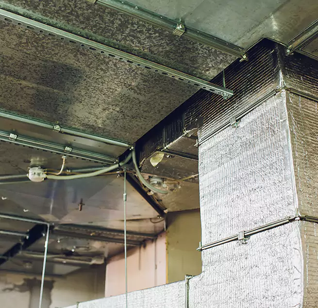 Why Homeowners & Businesses Trust Us in Brooklyn Park, MN?